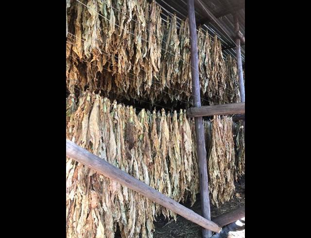 FARM FOR SALE IN THABAZIMBI